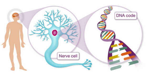 Nguồn ảnh alzheimersresearchuk.org