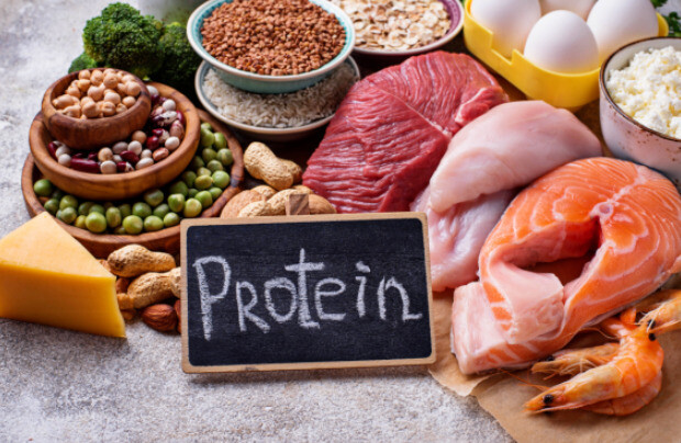 Protein vừa làm tăng tỷ lệ trao đổi chất vừa giúp hạn chế sự thèm ăn. Nguồn ảnh: bajajfinservhealth.in