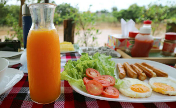A carafe of homemade fresh squeezed tangerine orange juice served with a big plate of breakfast A carafe of homemade fresh squeezed tangerine orange juice served with a big plate of breakfast lecithin stock pictures, royalty-free photos & imagesLecithin có mặt trong nhiều loại thực phẩm  Nguồn: iStock