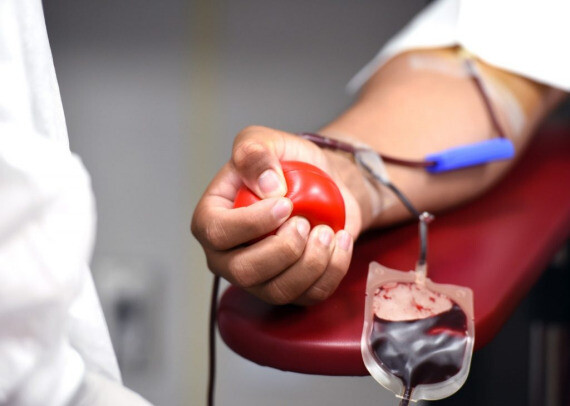 Để hiến tặng huyết tương, bạn có thể hiến máu toàn phần; sau đó phòng xét nghiệm sẽ tách các thành phần của máu riêng ra, bao gồm cả huyết tương. (nguồn: dishanews.com)