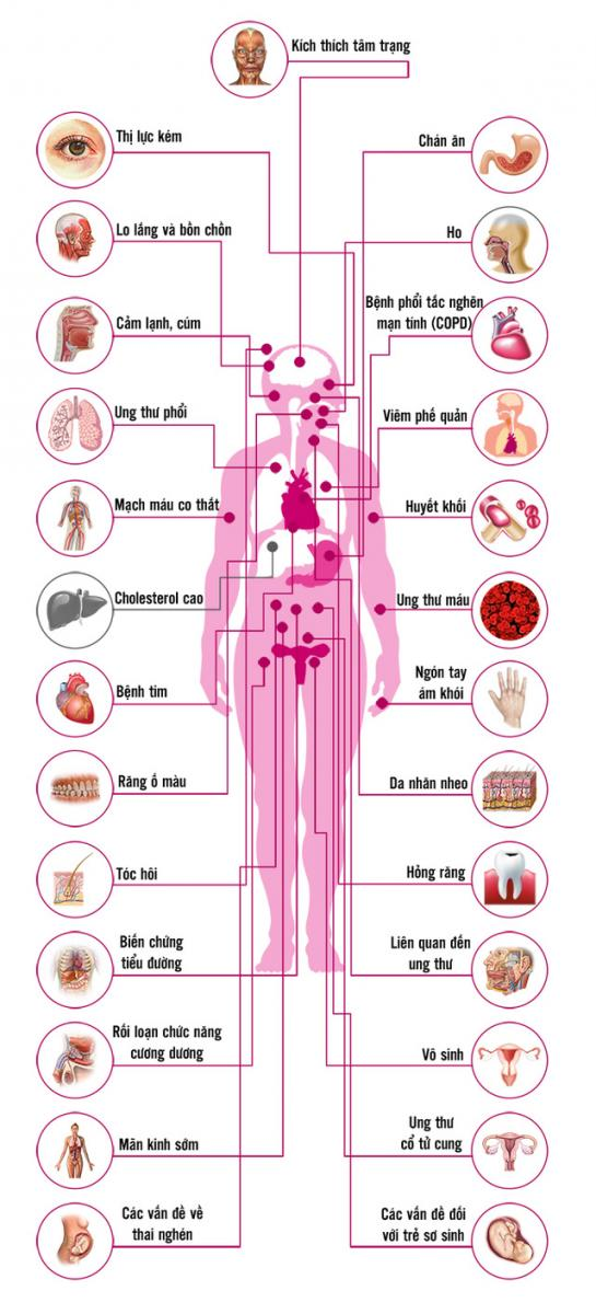 Ảnh hưởng của thuốc lá lên cơ thể