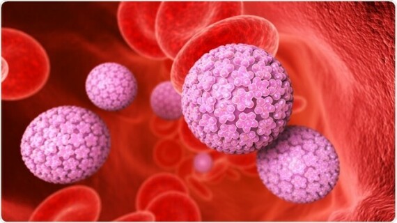 Xét nghiệm HPV. Nguồn ảnh: www.news-medical.net