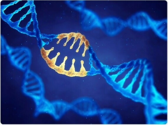 Rối loạn di truyền đơn gen là rối loạn do khiếm khuyết di truyền ở một gen cụ thể (nguồn ảnh: https://www.new-medical.net/)