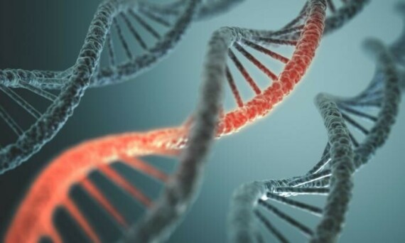 Đột biến di truyền có thể là một yếu tố nguy cơ đối với tự kỉ, nguồn ảnh medicalnewstoday.com