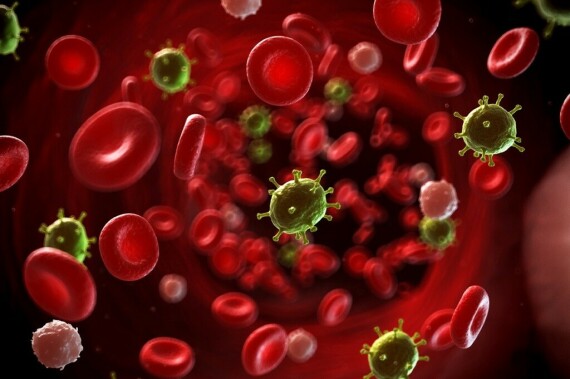 Nhiễm trùng huyết là gì? Biểu hiện nhận biết - Nhà thuốc Long ChâuCodzidime thường dùng để điều trị nhiễm trùng huyết