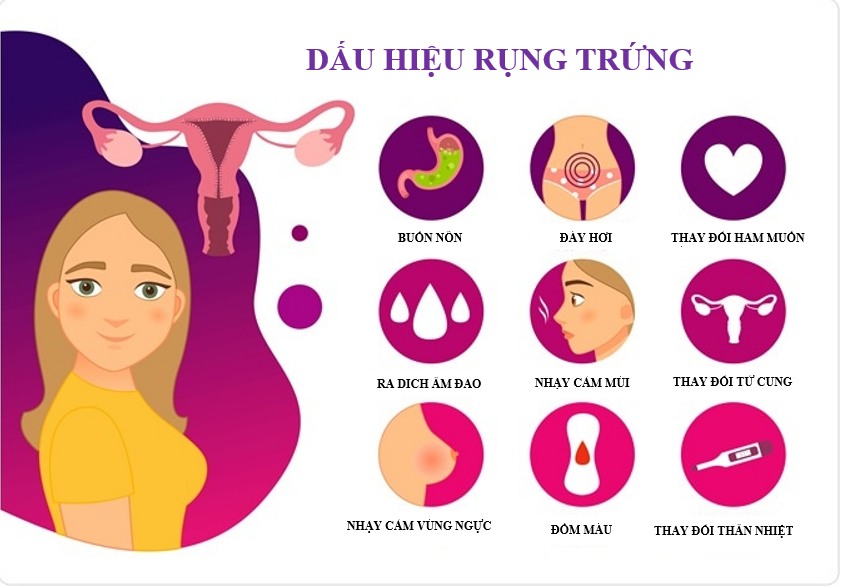 Thời gian rụng trứng kéo dài bao lâu mỗi tháng? - Ảnh 1