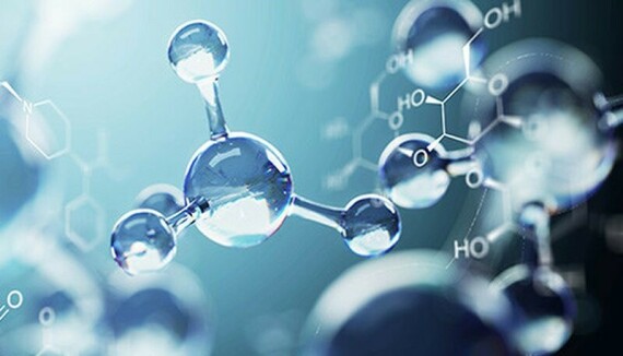 Inositol là hoạt chất có tác dụng chống oxi hóa được tìm thấy nhiều trong tim, gan não động vật; trứng; ngũ cốc; rau củ quả; mật mía;…Nguồn: Vinmec.com