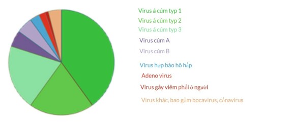 Các loại virus gây ra bệnh viêm thanh quản cấp. (Nguồn: springer.com)