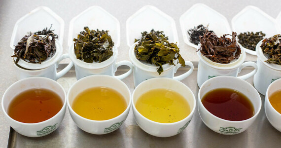 Các loại trà truyền thống thường có lượng Calo rất thấp. Nguồn https://www.ahmadtea.com/