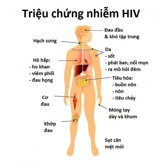 Nguồn ảnh: phongkhambienviet.com