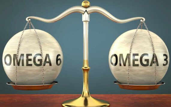 Balancing Omega-3 & Omega-6 Fatty Acids for Human Health - Nutriterra