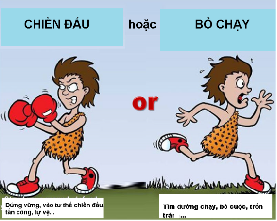 Mô hình “Chiến đấu- Bỏ chạy”(Nguồn: http://pktherapyot.com/)