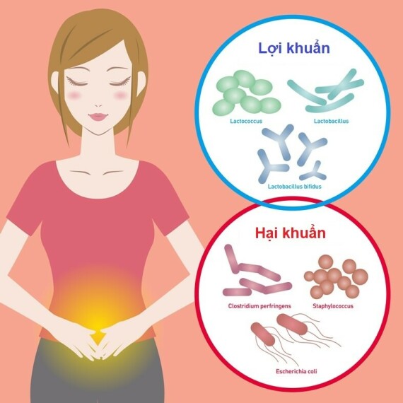 Ngoài ra, lactobacillus hỗ trợ hiệu quả trong điều trị tiêu chảy ở trẻ em do virus rota gây ra.