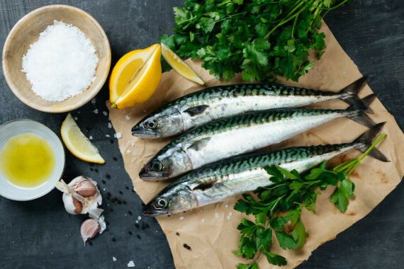Các loại cá có dầu chứa nhiều Omega-3 có giúp tăng HDL cholesterol trong máu (Nguồn ảnh: Pinterest)