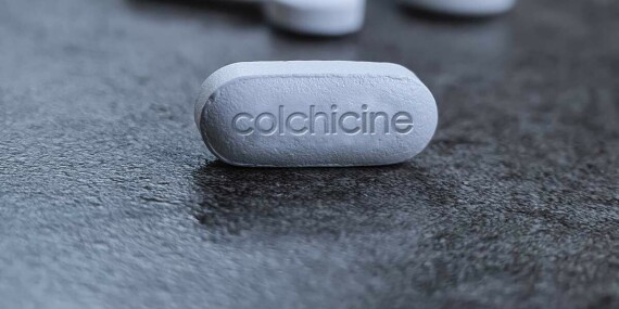 Colchicin có tác dụng hạn chế sự di chuyển bạch cầu, ức chế thực bào và tạo thành acid lactic, giữ pH tại chỗ được ổn định – Nguồn ảnh: larepubriquedespyrenees.fr