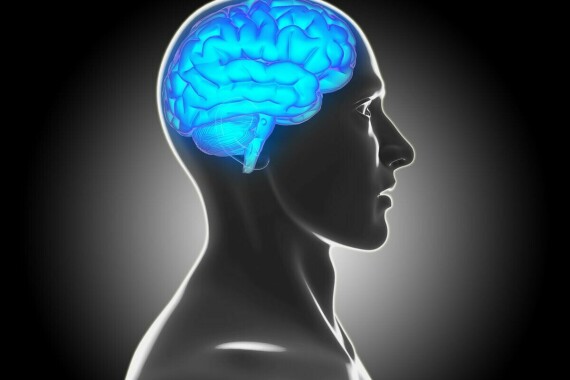  Nồng độ bilirubin máu thấp có thể làm tăng nguy cơ tổn thương chất trắng trong não. Nguồn ảnh: News.harvard.edu