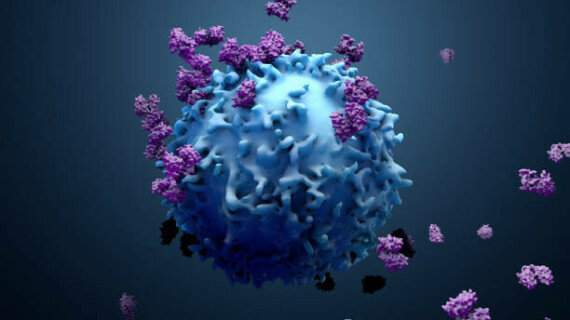 3d illustration proteins with lymphocytes , t cells or cancer cells 3d illustration proteins with lymphocytes , t cells or cancer cells immune system stock pictures, royalty-free photos & imagesLecithin có tác dụng cải thiện hệ miễn dịch  Nguồn: iStock