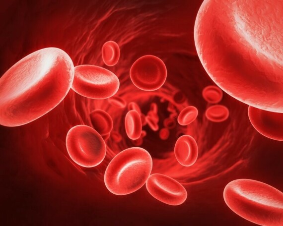 Vitamin B12 đóng một vai trò quan trọng trong việc giúp cơ thể sản xuất các tế bào hồng cầu.Nguồn ảnh: healthline.com