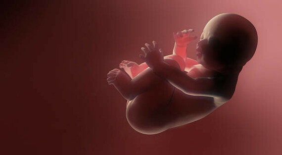 Em bé sẽ hình thành nếu quá trình thụ tinh diễn ra thành công. Nguồn: iStock