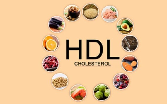 Các loại thực phẩm giúp tăng hàm lượng HDL cholesterol trong cơ thể. Nguồn ảnh: latinhoneyshop.com