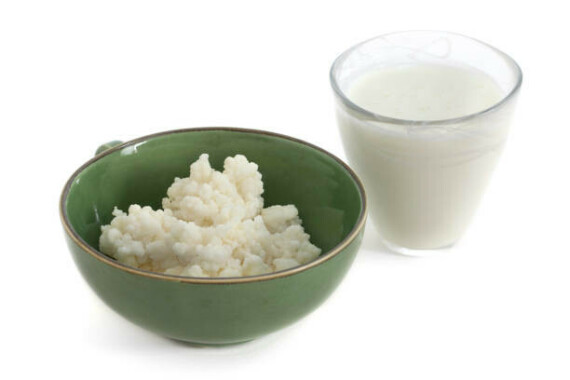 Kefir uống và nấm trong bát Nấm Kefir trong bát màu xanh lá cây và uống kefir trong ly.Lactobacillus có mặt trong một số loại thực phẩm lên men như sữa chua, nấm kefir  Nguồn: iStock