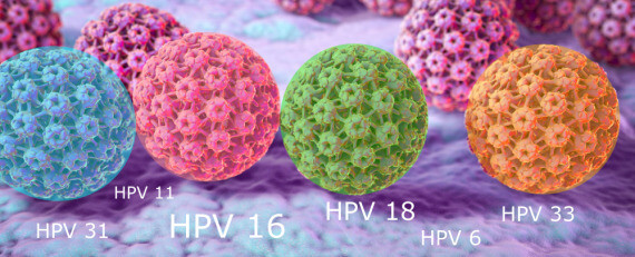 Các chủng HPV gây ra các vấn đề sức khỏe. Nguồn ảnh: hpv.hr
