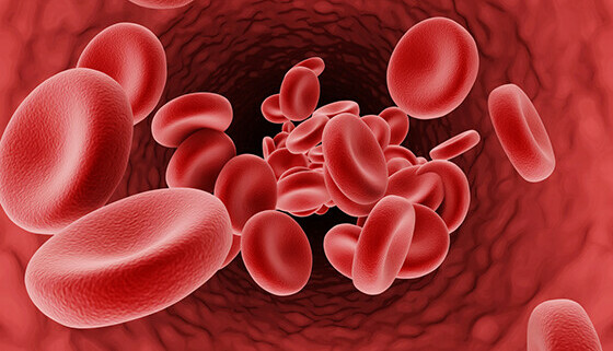Thalassemia (còn được gọi là bệnh tan máu bẩm sinh), là một bệnh lý huyết học di truyền liên quan đến sự bất thường của hemoglobin (nguồn ảnh: https://www.medicircle.net/)