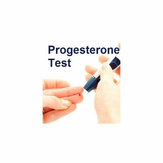 Bộ công cụ định lượng progesterone. nguồn: https://www.fertility2u.com