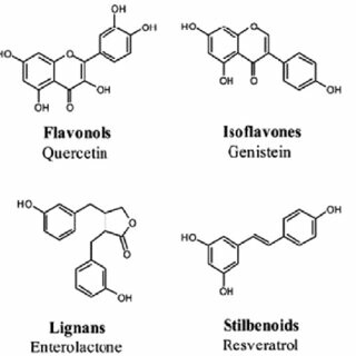 Các loại phytoestrogen phổ biến. Nguồn ảnh: Reseacher gate