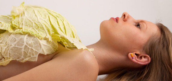 Đắp bắp cải lạnh lên ngực có thể giúp giảm đau tức ngực do căng sữa. Nguồn ảnh: www.dherbs.com