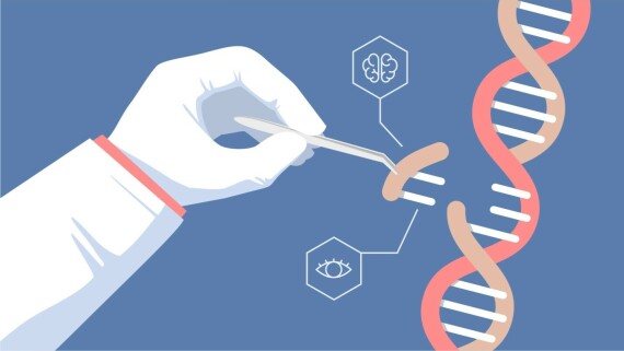 Ứng dụng liệu pháp gen trong y học hiện đại (nguồn ảnh: https://www.frontlinegenomics.com/)