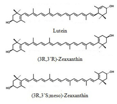 Lutein và Zeaxanthin. Nguồn ảnh : oatext.com