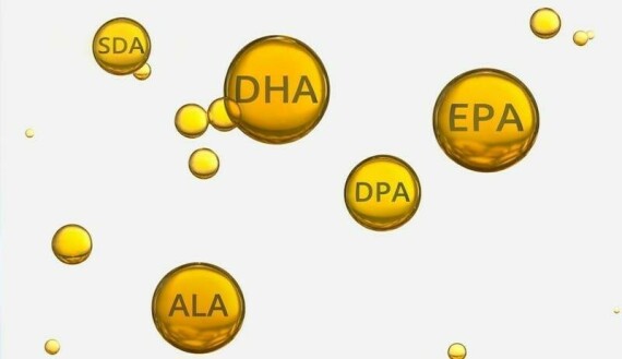 Cũng giống như các axit béo không no cùng nhóm, DHA rất cần thiết cho hệ thần kinh, não bộ, thị giác và hệ xương của cơ thể người. Nguồn ảnh: Pinterest