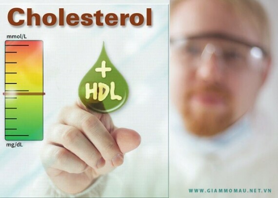HDL Cholesterol tăng rất cao có thể làm tăng nguy cơ mắc bệnh tim mạch. Nguồn ảnh: https://www.peoplespharmacy.com/