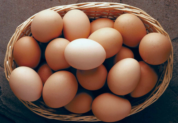 Trứng rất giàu chất dinh dưỡng, nguồn ảnh britannica.com