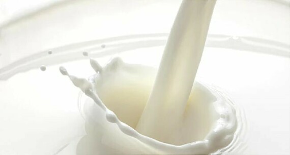 Lactose có nhiều trong sữa (Nguồn webmd.com)