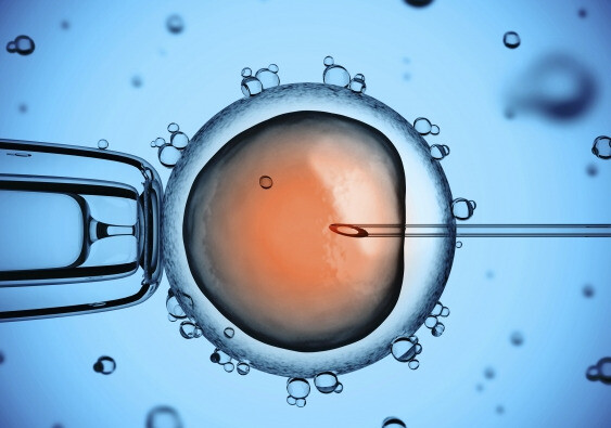 Khi không thể thụ tinh thông thường, bác sĩ sẽ chủ động tiêm tinh trùng vào bào tương noãn. Nguồn ảnh: newsroom.unsw.edu.au
