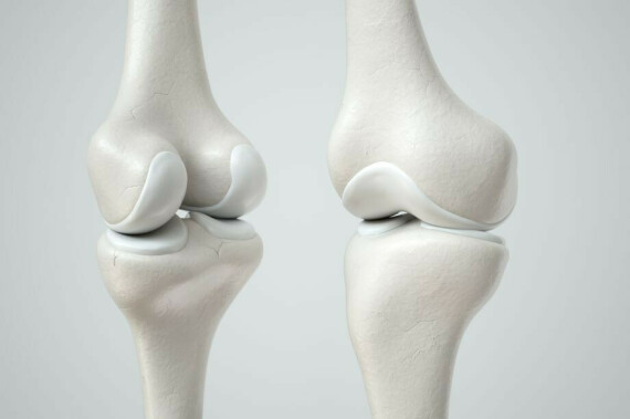 Cartilage 101 – What Is Cartilage and What Does It Do? | OrthoCarolina Nguồn: orthocarolina.com