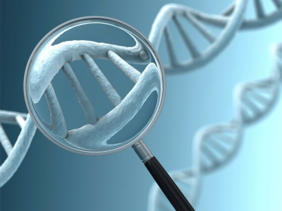 Cấu trúc xoắn vặn của ADN (nguồn ảnh: https://www.pvhomed.com/) 