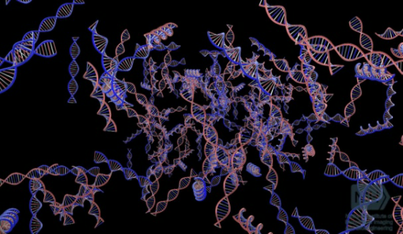 Hình ảnh phân tử ADN cấu tạo gen dị truyền.Nguồn ảnh : magoosh.com