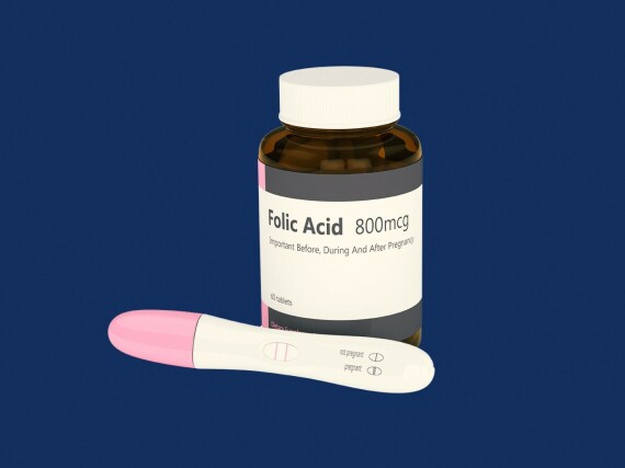 Axit folic là chất cần thiết cho bà bầu trong suốt giai đoạn mang thai. Nguồn ảnh: sheknows.com