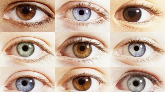 Màu mống mắt rất đa dạng và đều cuốn hút (Nguồn ảnh: https://www.quora.com)