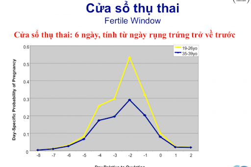 Cửa sổ thụ thai