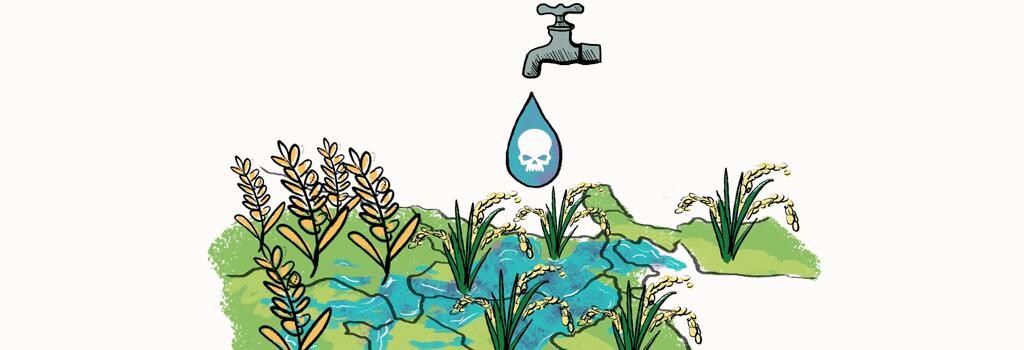 Nguồn nước ngầm bị ô nhiễm là nguyên nhân phổ biến gây nhiễm độc Asen (nguồn ảnh: downtoearth.org.in)
