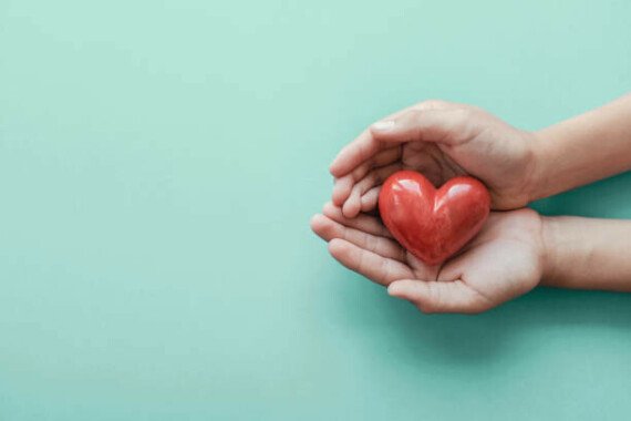 hands holding red heart on blue background, health care, love, organ donation, family insurance and CSR concept, world heart day, world health day hands holding red heart on blue background, health care, love, organ donation, family insurance and CSR concept, world heart day, world health day heart stock pictures, royalty-free photos & imagesLecithin có tác dụng cải thiện sức khỏe tim mạch  Nguồn: iStock