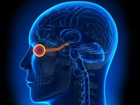 Cần thông báo với bác sỹ nếu thấy dấu hiệu tổn thương thần kinh thị giác khi sử dụng thuốc