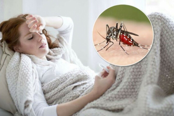 Amalar – XL thường được dùng để điều trị bệnh sốt rét