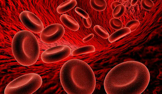 Dùng thuốc trong thời gian dài có thể gây ra tình trạng giảm hemoglobin và hồng cầu
