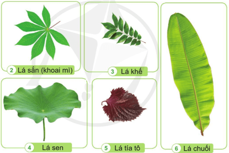 Tài liệu VietJack