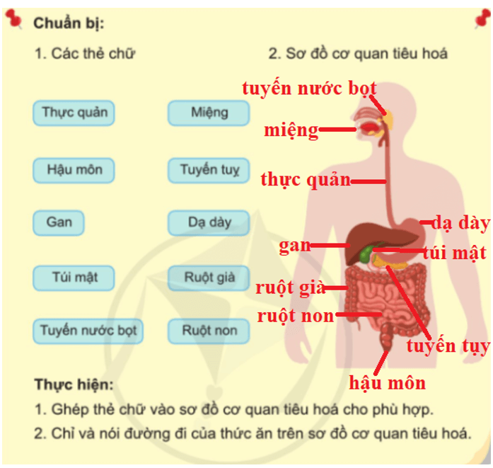 Tài liệu VietJack